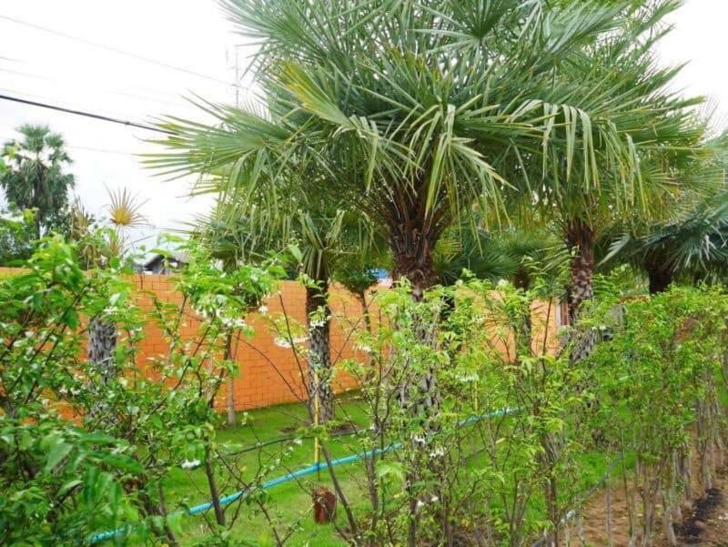 Tinna Resort Ban Nong Mai Ngam エクステリア 写真